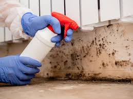 Professional Mold Inspection in Milford, UT